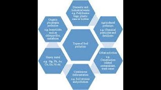 Tipos de contaminantes del suelo y su degradación Métodos y retos [upl. by Heloise868]