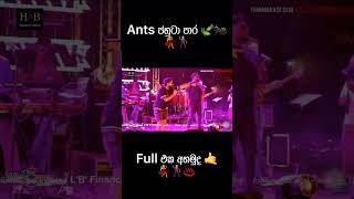 වස්තිලාට Ants දුන්නු ජහුටාපාර 🕺🍃🐜 Shorts [upl. by Cathlene821]