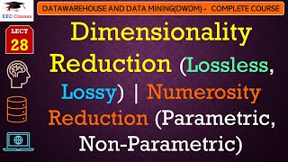 L28 Dimensionality Reduction Lossless Lossy  Numerosity Reduction Parametric Non Parametric [upl. by Candis]