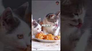 You Wont Believe Whats Hidden on a Cats Tongue 😺shorts cat viral [upl. by Amorete]