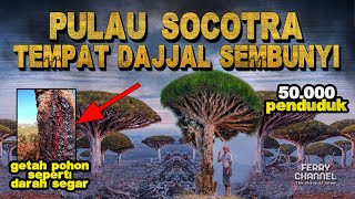 JARANG DIBAHAS Pulau Tempat Dajjal Sembunyi Jadi Rebutan Negara Arab Aneh dan Uniknya Alam Socotra [upl. by Renault]