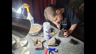 Ammonite Fossil Preservation Home Lesson with Fossil Dad [upl. by Neros]