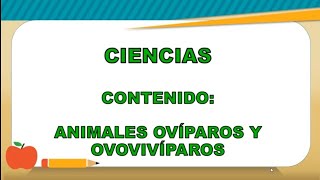 Animales ovíparos y ovovivíparos  Ciencias  Segundo grado [upl. by Ellehsar]