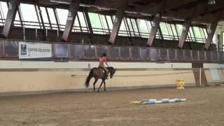 Galop 4 Varier lamplitude au trot [upl. by Mmada]