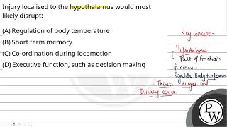 Injury localised to the hypothalamus would most likely disrupt [upl. by Leahcir]