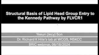 수송 단백질 FLVCR1에 의한 인지질 머리 부분 lipid head group의 수송 기전 연구 [upl. by Oirretna]