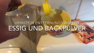 Urinstein entfernen Top 10 Urinstein Entfernungs Ranking die Besten Waffen gegen Ablagerungen [upl. by Spatz]