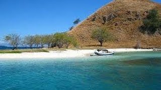 Sensation Angel Island Indonesien 4 Teil Unterwasserwelt von Kelor Island mit Twixtor Zeitlupe [upl. by Adaynek]