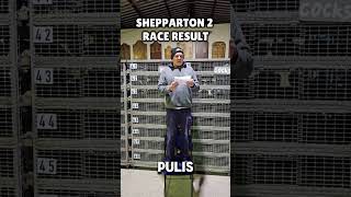 Shepparton 2 Race Result httpwwwpigeonracenetfedwpfresults63311443 pigeonracing [upl. by Eldrida]