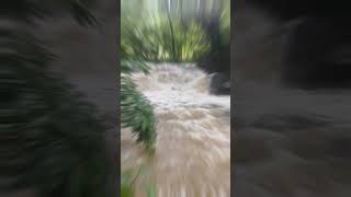 erappinkoottam water falls  unexplored kollam  odanavattom kottarakkara 🔥🔥🔥 [upl. by Sevy141]