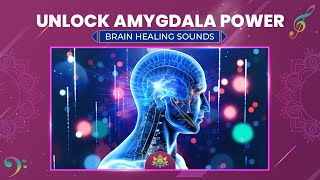 Unlock Amygdala Power  Alleviate Heart Palpitations PTSD amp Anxiety Attacks  Brain Healing Sounds [upl. by Tamra294]