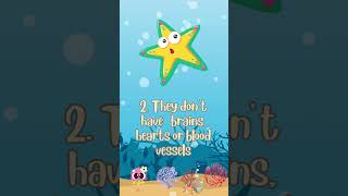 Starfish Facts for Kids shorts starfish facts [upl. by Williams]