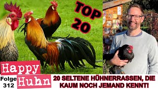 20 Seltene Hühnerrassen die in der HobbyHühnerhaltung kaum noch bekannt sind HAPPY HUHN E312 huhn [upl. by Jillana]