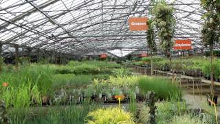 Tuincentrum Het Oosten is groot in tuinplanten [upl. by Sardella]