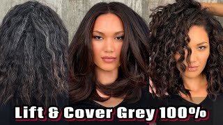 Lift and Cover Grey Hair 100  Ni and NB Guy Tang series [upl. by Legra]