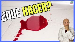 🔴¿Qué Hacer si mi PERRO ORINA SANGRE 🔴 [upl. by Annahael]