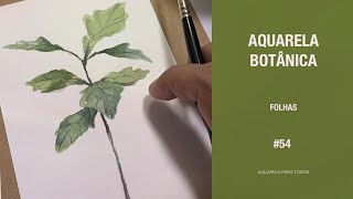 Aquarela Botânica  Folhas [upl. by Finer19]