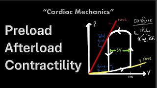 Cardiac Mechanical Functions for Medical students  2024 ver  The Pacemaker [upl. by Paderna72]