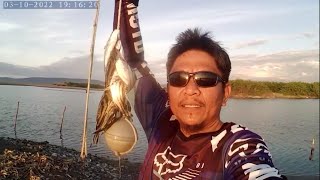 Grunter Fish Hunting using Ultralight Setup  Giant Fish ID [upl. by Baumbaugh]