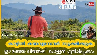 ARALAM WILDLIFE SANCTUARY PART 2 ARALAM TREKKING  ARALAM WILDLIFE SANCTUARY KANNUR [upl. by Aitnwahs]