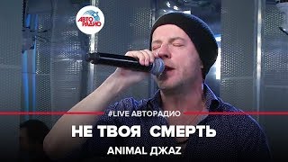 Animal ДжаZ  Не Твоя Смерть LIVE  Авторадио [upl. by Cherie]