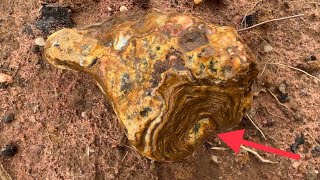 Finding crystal agate agatized japer rock near mountain [upl. by Ellingston]