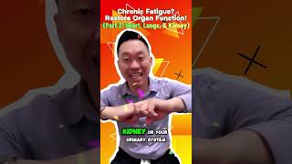 Chronic Fatigue Restore Organ Function Part 2 Heart Lungs amp Kidney [upl. by Squier603]