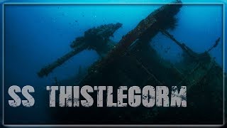 SS Thistlegorm  Wrack aus dem 2 Weltkrieg  abgetaucht [upl. by Amrita56]