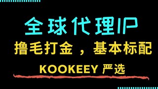 币圈基础配套工具： 全球代理IP 推荐 ！ Kookeey 全球IP严选推荐 ！ 撸羊毛、链游打金、海外账号养号你都用的上。 [upl. by Lamiv]