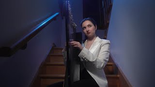 Take Me to Church  Hozier Harp Cover [upl. by Anneliese629]