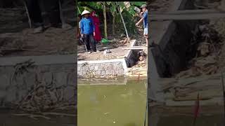 Mancing dsnprayungan [upl. by Ynabla]