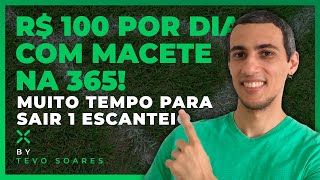 EP 80 🚩 R 100 por DIA com MACETE na 365 MAIS de 10 MINUTOS p SAIR 1 ESCANTEIO é MUITO TEMPO 🙃 [upl. by Llirred]