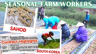 Filipino Farm Worker Salary in South Korea [upl. by Eenahs]