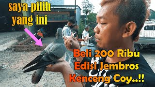 Gerebeg Dan Review Kios Merpati Keranji di Bekasi  Ada Giveaway 5 Pasang Merpatinya Bro [upl. by Doran772]