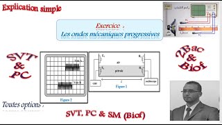 Séries 2Bac Biof  Exercice Ondes mécaniques progressives  Ondes sonores [upl. by Leahplar]