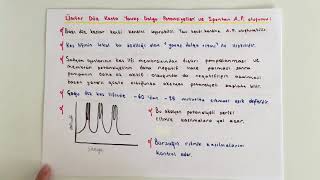 FİZYOLOJİ12KONUDüz Kasların Uyarılması [upl. by Oleta]