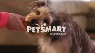 PetSmart Commercial 2014 [upl. by Emelun]