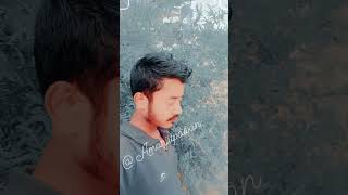 bhojpuri dekhela suratiya tadapegi song gulri ke phool Ho gael [upl. by Chinua]