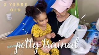 Potty training tips for 2 year old  How to potty train a toddler fast  pottytraining [upl. by Frierson]