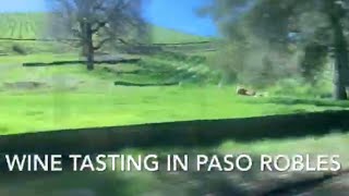 Wine Tasting in Paso Robles [upl. by Eigram]