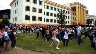 Harlem Shake  Escola Dr Américo Brasiliense [upl. by Sivam]