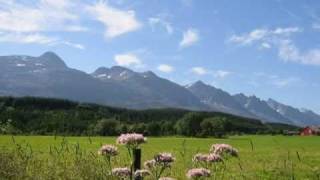 Trouble In The Fields  Elin Tuset Nanci Griffith cover [upl. by Shannah]