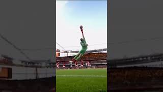 Aaron Ramsdale Best Saves shorts goalkeeper arsenal [upl. by Candless]