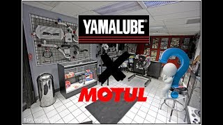 Óleo Motul ou Yamalube [upl. by Onaicnop]