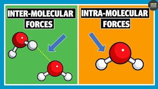 Intermolecular Forces and Intramolecular Forces  Chemistry [upl. by Erik]