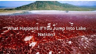 What Happens If You Jump Into Lake Natron The Deadliest Lake in Africa [upl. by Aitnwahs805]