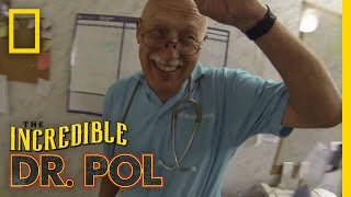 Dr Pol Blog The Doctor on a Stick  The Incredible Dr Pol [upl. by Yaja]