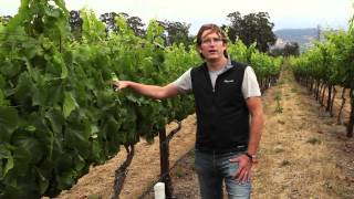 Matt Parish Joins NakedWinescom As Chief Winemaker [upl. by Joann]