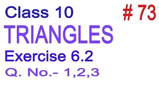 Class 10  NCERT Maths  Chapter 6  Triangles  Exercise 62 Q No 123  Full Solution in Hindi [upl. by Kcirdehs]