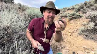 HOW TO FIND GOLD EVERY TIME IN ANY CREEK Metal vs Plastic [upl. by Gundry]